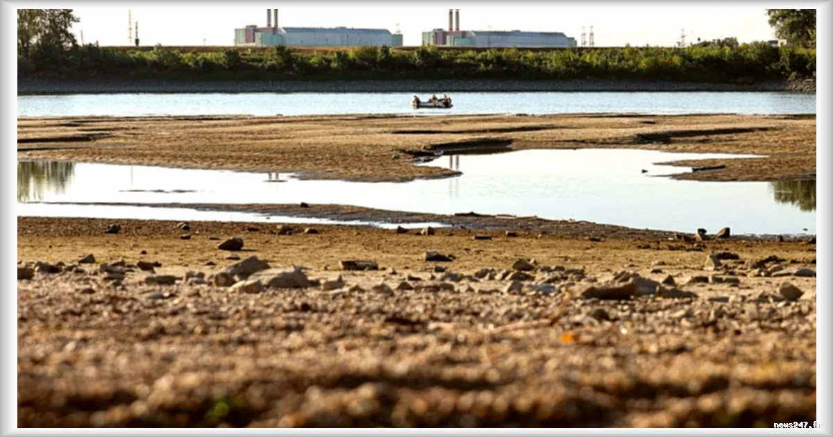 Canicule : les basses eaux du Rhin et du Danube paralysent les industries européennes