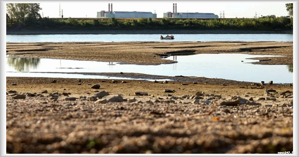 Canicule : les basses eaux du Rhin et du Danube paralysent les industries européennes