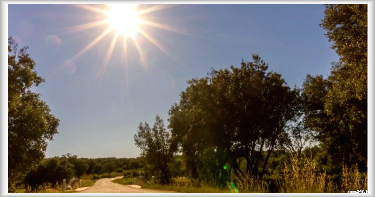 Canicule précoce en septembre : jusqu’à 34°C attendus mardi sur la moitié sud