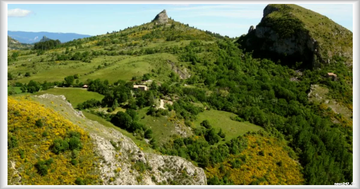 Canicule : quatre départements maintenus en alerte orange ce mardi, selon Météo-France
