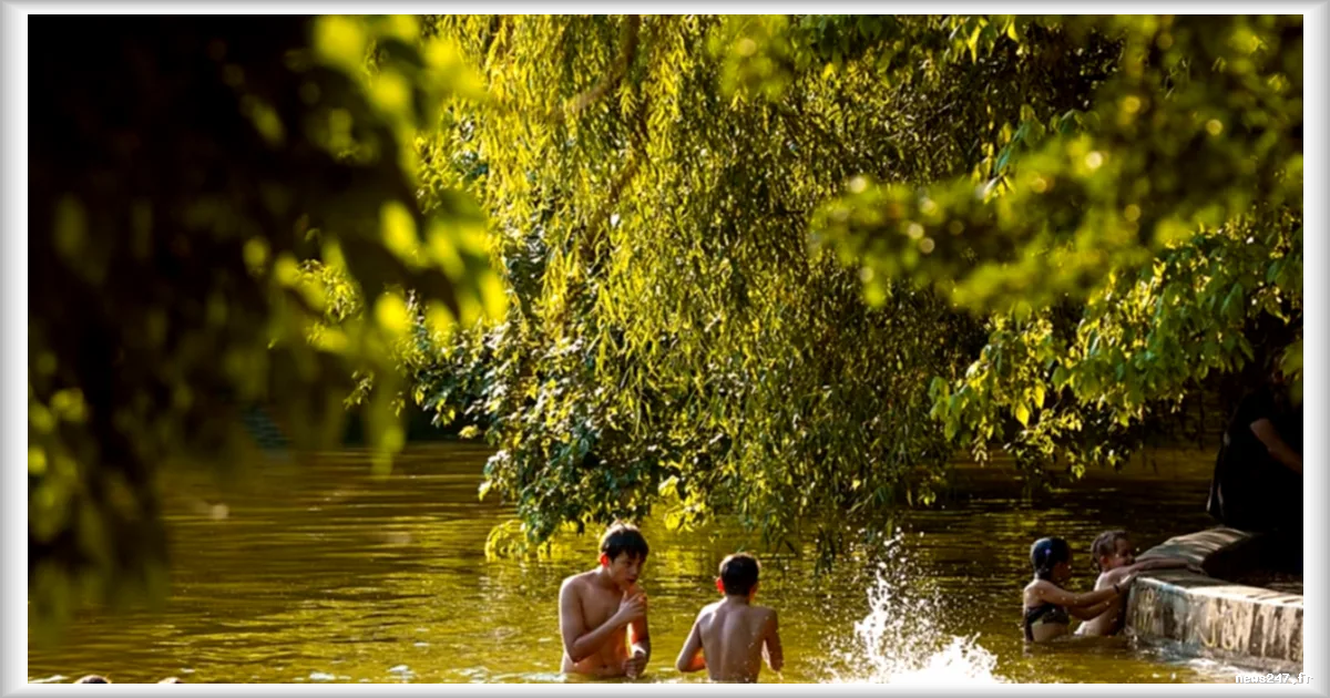 Canicule record en Europe : l’OMS alerte sur des étés de plus en plus meurtriers