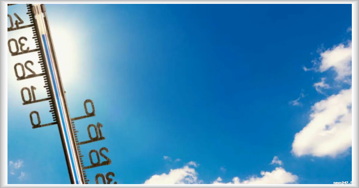 Canicule : un tiers des Français prêts à déménager dans une autre région