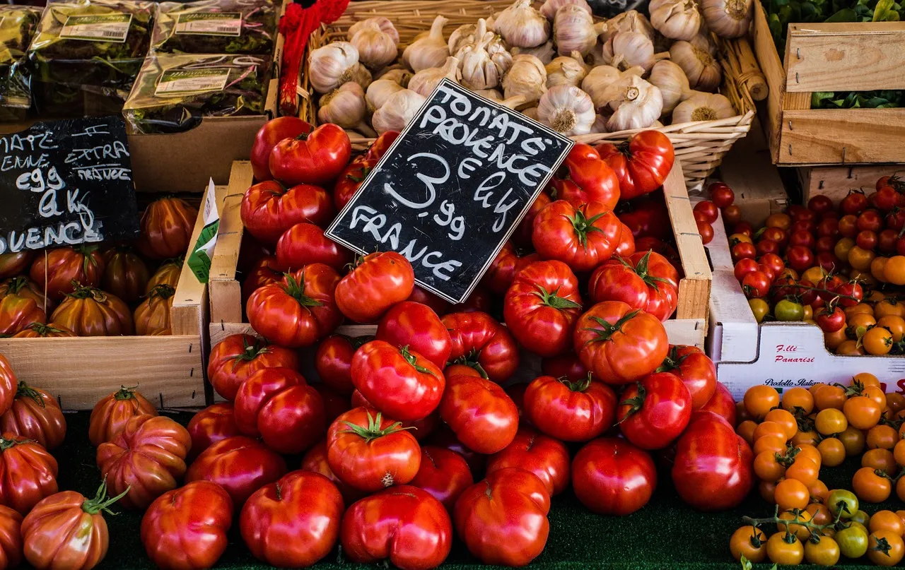 Canicules et sécheresse : l’agriculture française confrontée à une crise historique