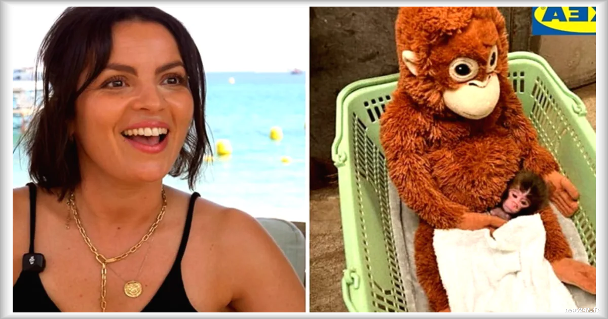 Cannes Lions 2026 : Dorothée Gardon (IKEA) décrypte l’IA, les réseaux sociaux et le succès viral du singe Punch