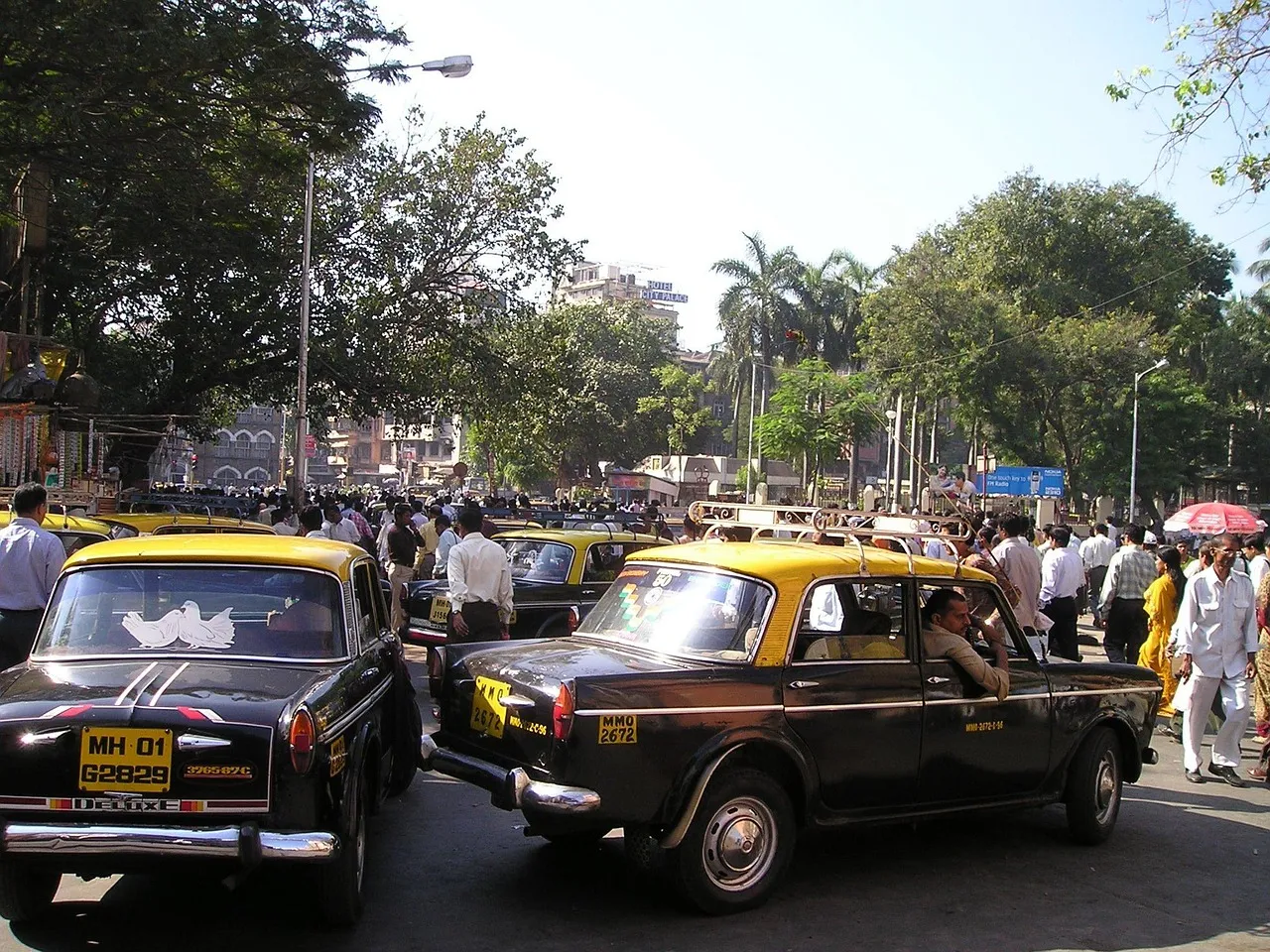 Cat Expo India 2026 : un salon dédié aux félins qui séduit des milliers de visiteurs à Mumbai