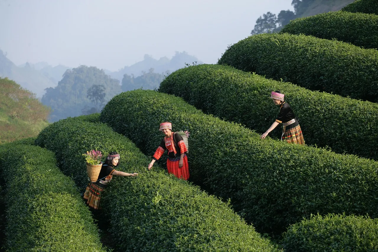 Célibataire et épanoui : une mère de 50 ans partage son expérience