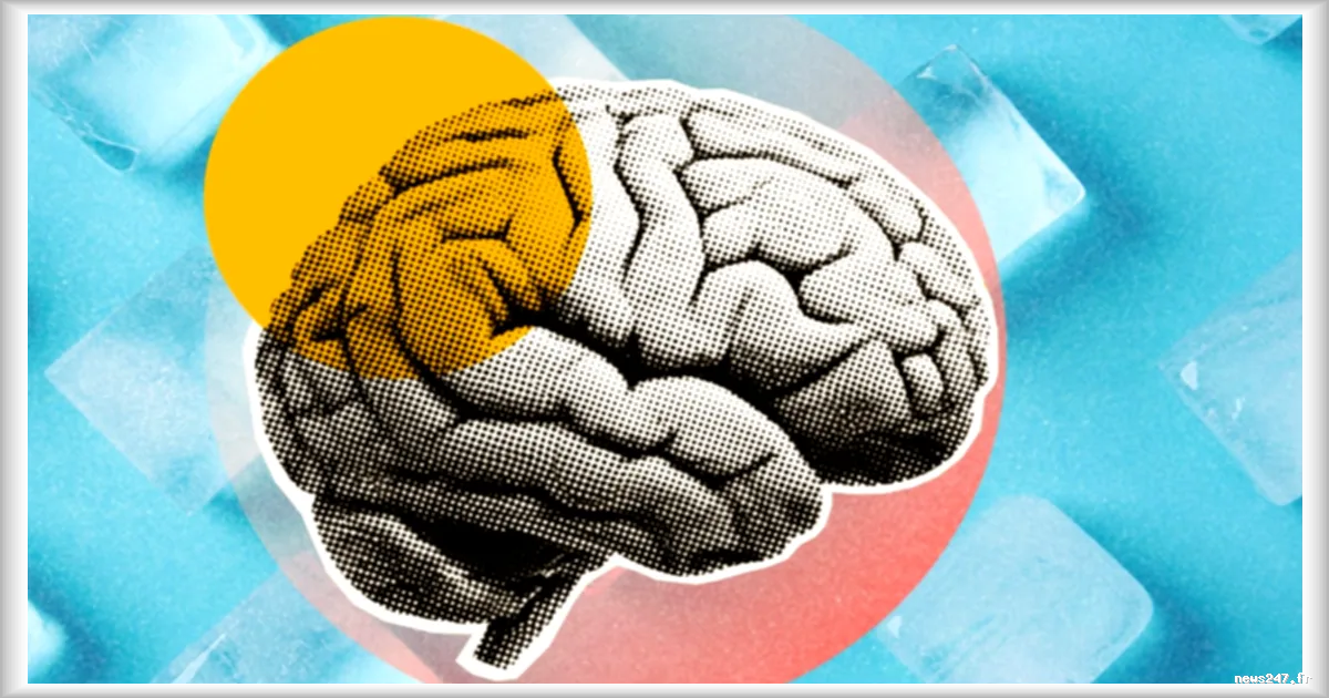 Cerveau cryogénisé de L. Stephen Coles : des avancées scientifiques prometteuses, mais aucune réanimation humaine en vue