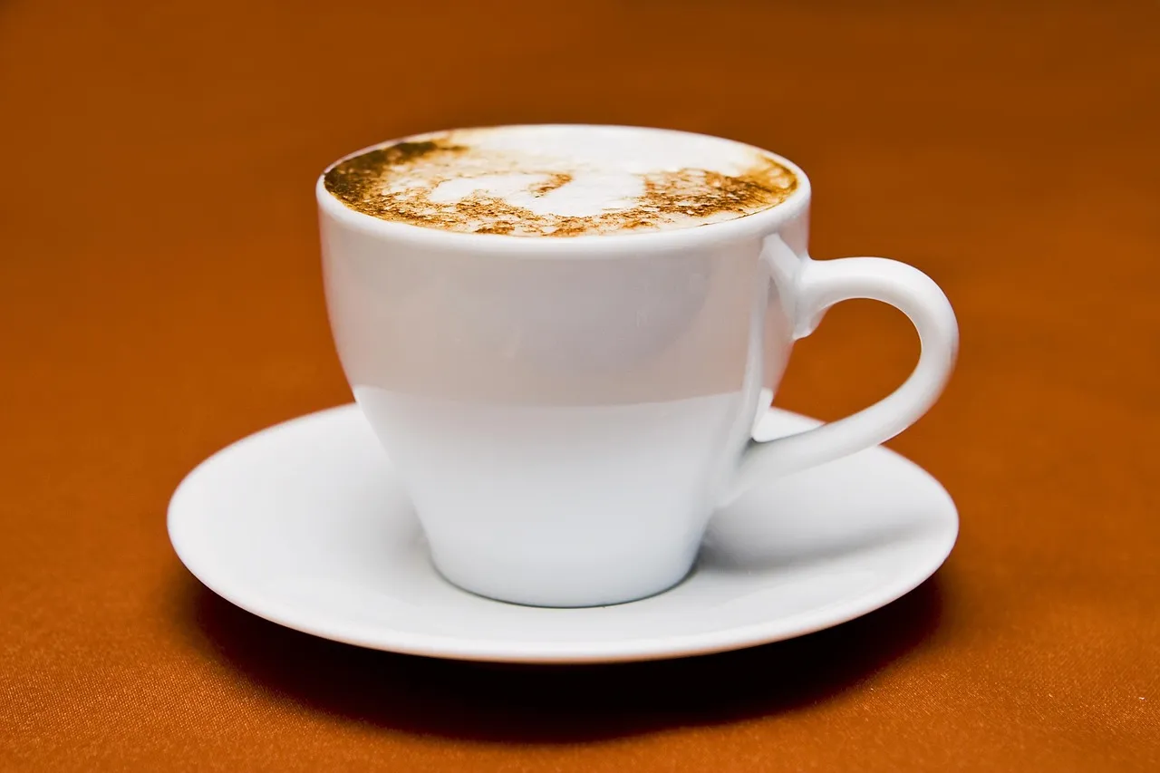 Ces cafés ruraux qui résistent à l’abandon des campagnes et freinent l’influence du RN