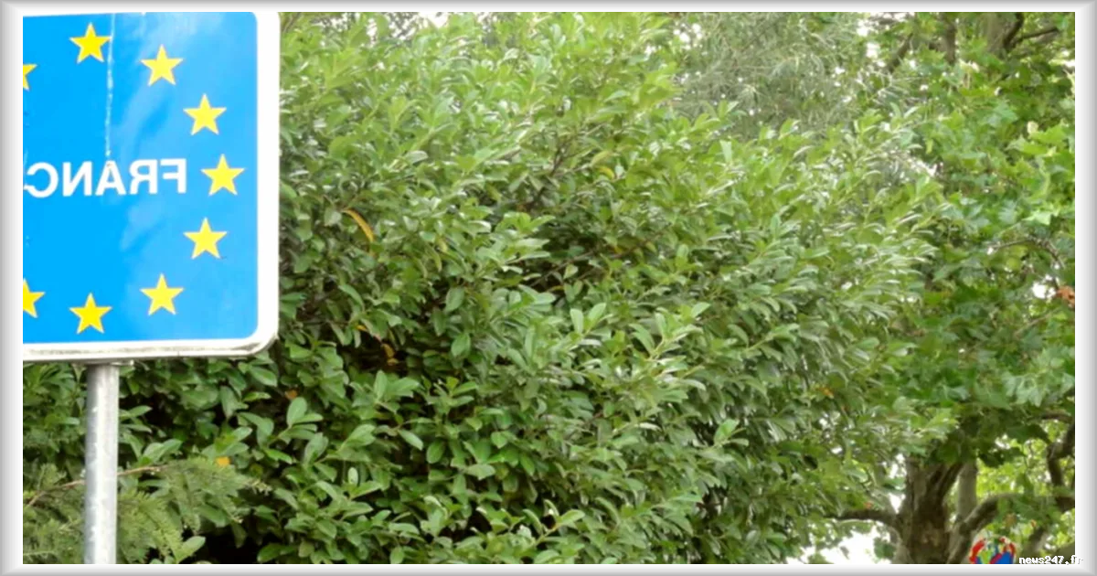 Changements à venir concernant les allocations chômage des travailleurs frontaliers cotisant à l'étranger