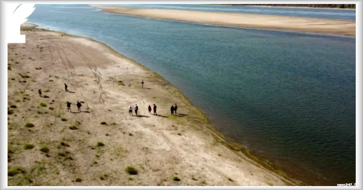Chasse aux fossiles de mammouths sur les berges asséchées du Danube en Bulgarie