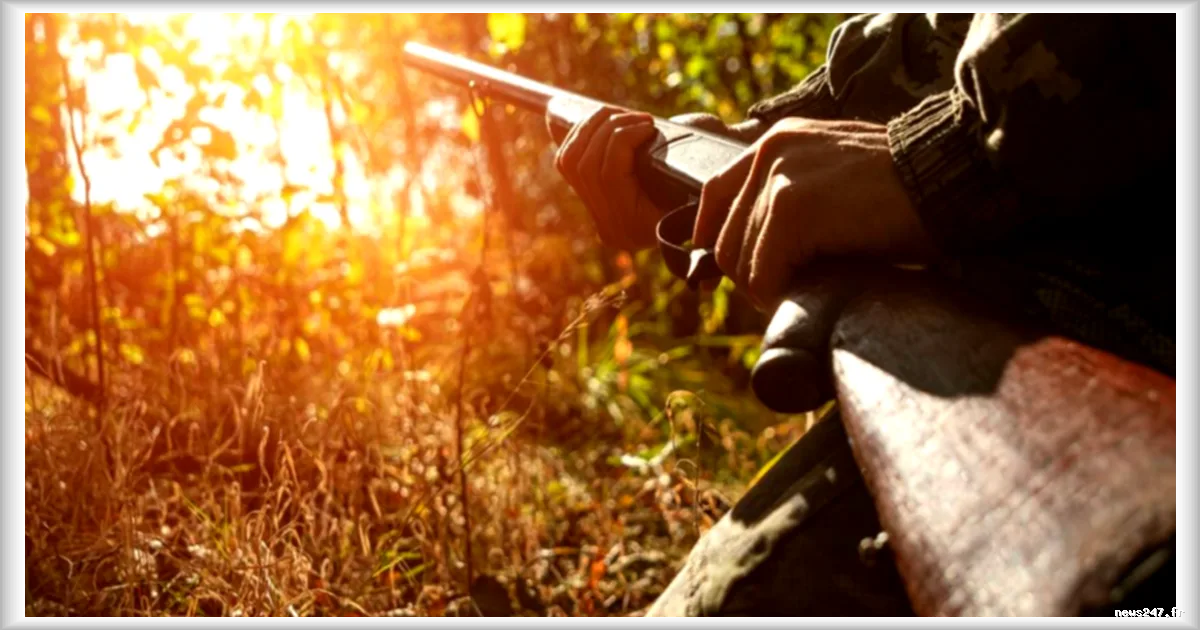 Chasse dans les zones incendiées : une pétition à 345 000 signatures relance le débat
