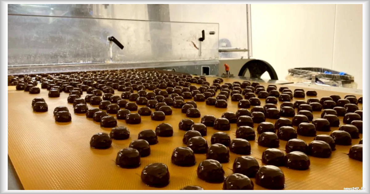 Chocmod, le confiseur lillois qui conquiert le monde avec ses nounours en chocolat