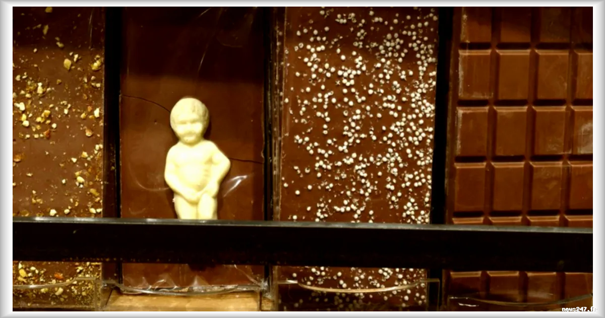 Chocolats sans cacao : une alternative qui séduit industriels et consommateurs face à la crise du cacao