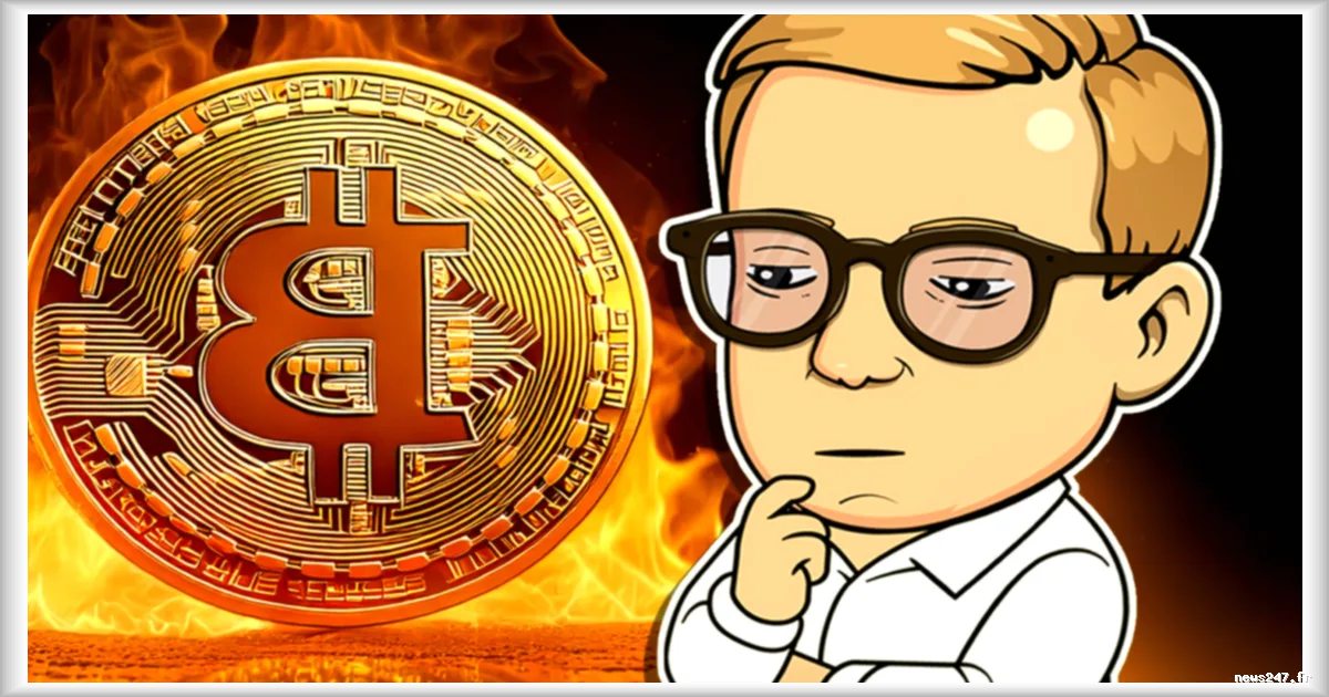 Chute de bitcoin et des cryptos : comment protéger votre capital