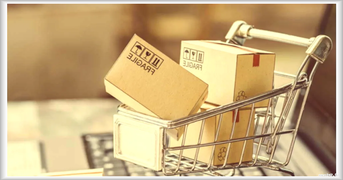 Chute des Livraisons de Petits Colis en France suite à l'Entrée en Vigueur d'une Taxe