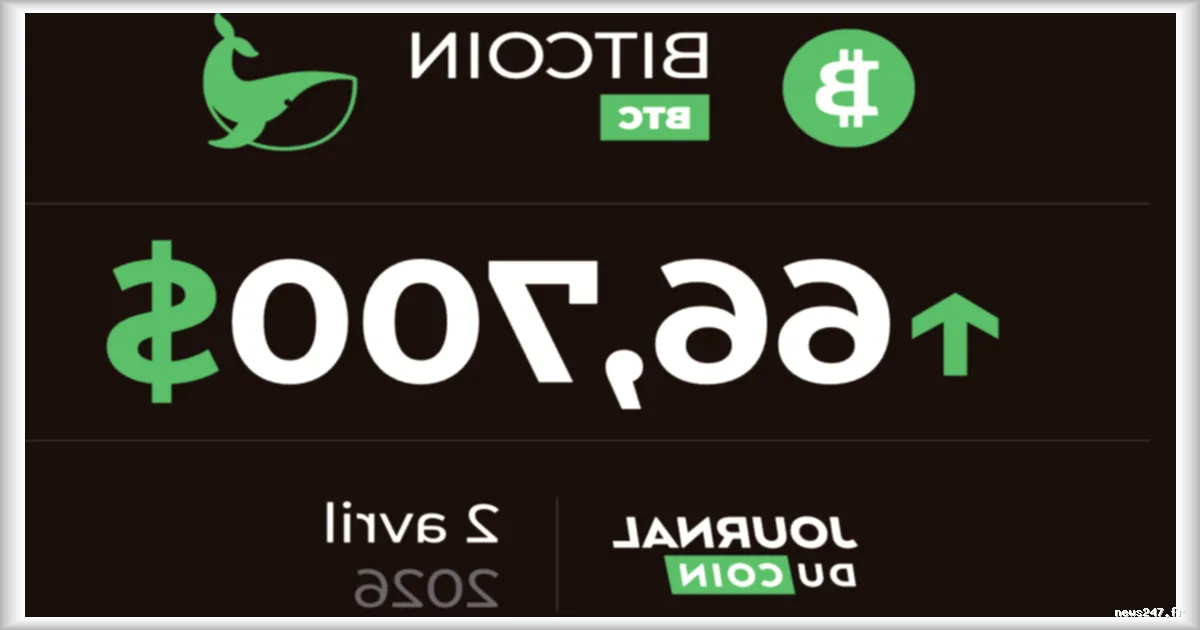 Chute du Bitcoin sous les 54 000 $ : Vers une possible explosion à 500 000 $ ?