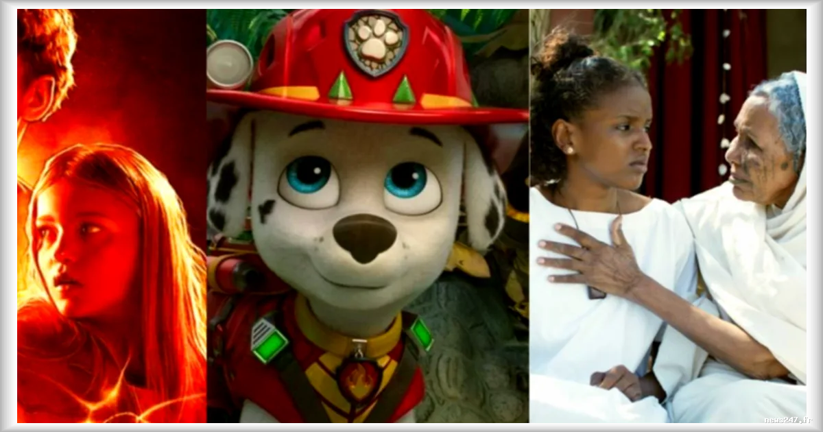 Cinéma : Cotton Queen, Kyma, l’onde mystérieuse et La Pat’ Patrouille à l’affiche cette semaine