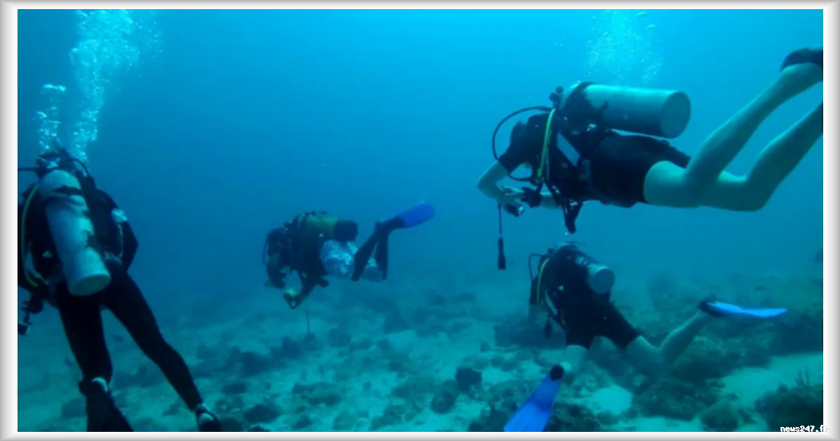 Cinq plongeurs italiens morts dans un accident aux Maldives : les circonstances en cours d’enquête