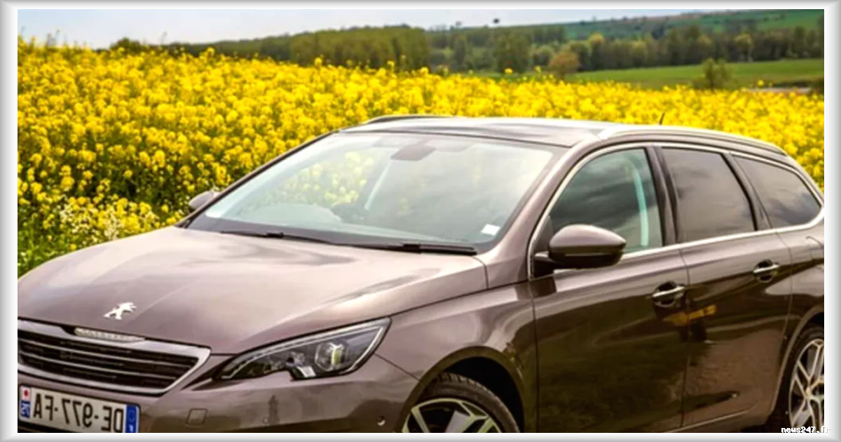 Citroën et Peugeot rappellent 12 modèles en France pour un risque d'incendie sous le capot
