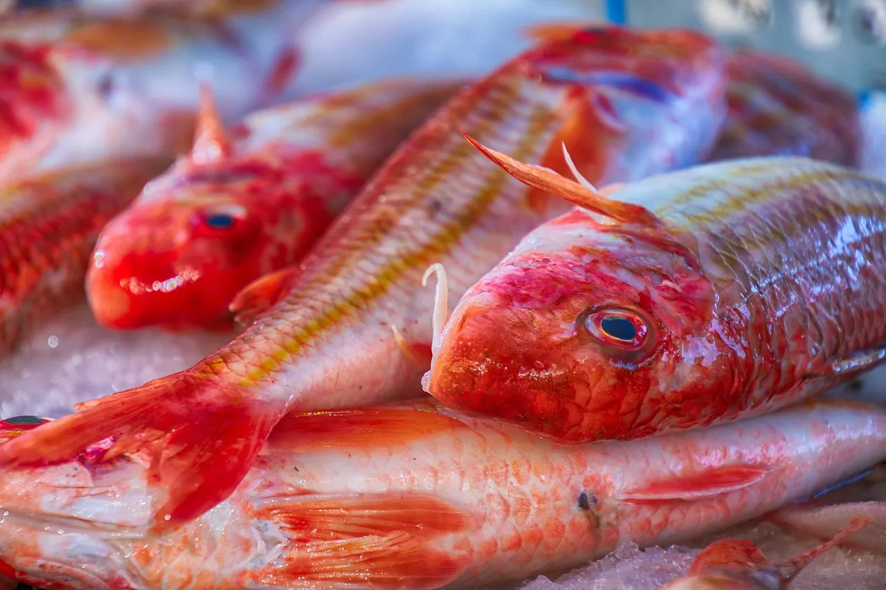 Clémence Taillandier, 28 ans, met à l’honneur le rouget dans son restaurant lillois Pulpe