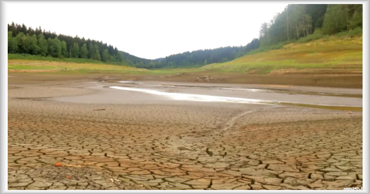 Climat : les cinq prochaines années pourraient battre des records de chaleur, selon l’OMM