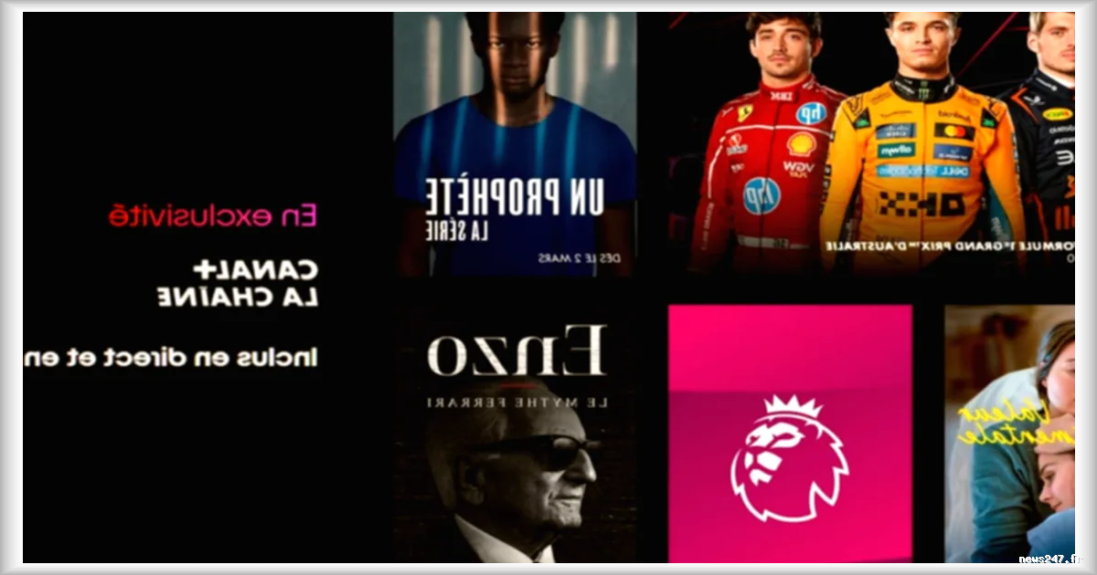 Comment profiter de la chaîne Canal+ gratuitement avec Free ?