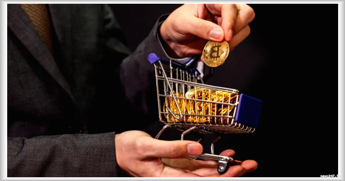 Comparaison des flux cumulés de l'ETF Bitcoin et de l'ETF Or sur deux ans