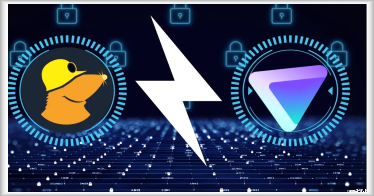 Comparatif Proton VPN et Mullvad VPN : deux géants du respect de la vie privée