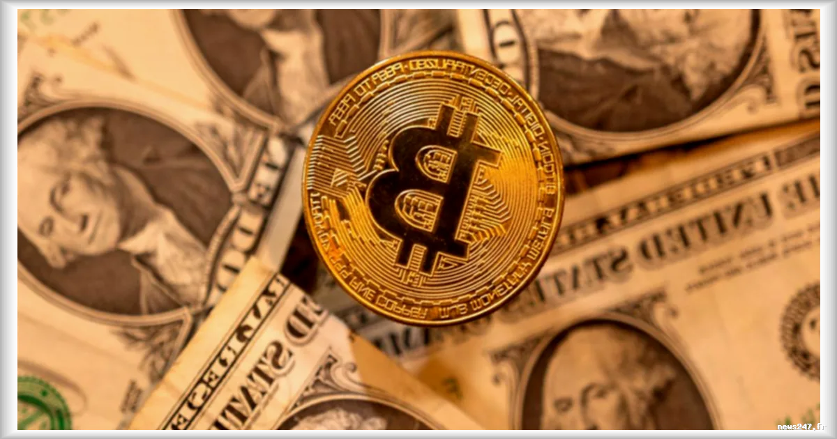 Comprendre les cryptomonnaies : fonctionnement, usages et enjeux après l'interdiction de Binance
