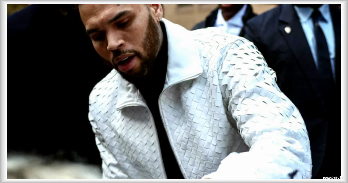 Condamnation de Chris Brown à 12,9 millions de dollars pour une agression par son chien : le procès d’un drame en six ans d’attente