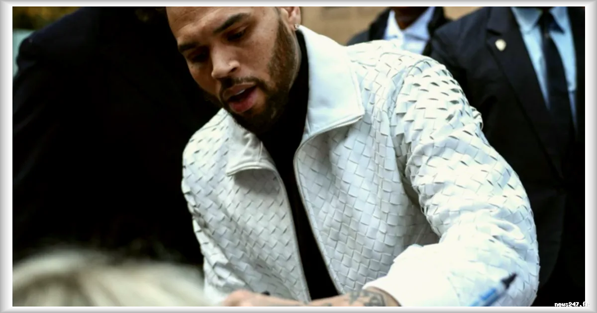 Condamnation de Chris Brown à 12,9 millions de dollars pour une agression par son chien : le procès d’un drame en six ans d’attente