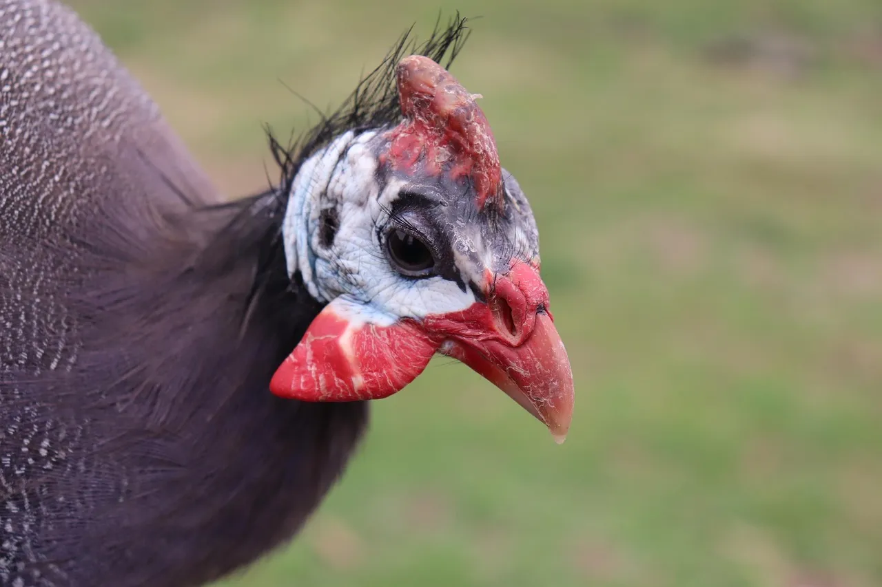 Contestation universitaire en Iran : les étudiants reprennent la lutte contre le régime