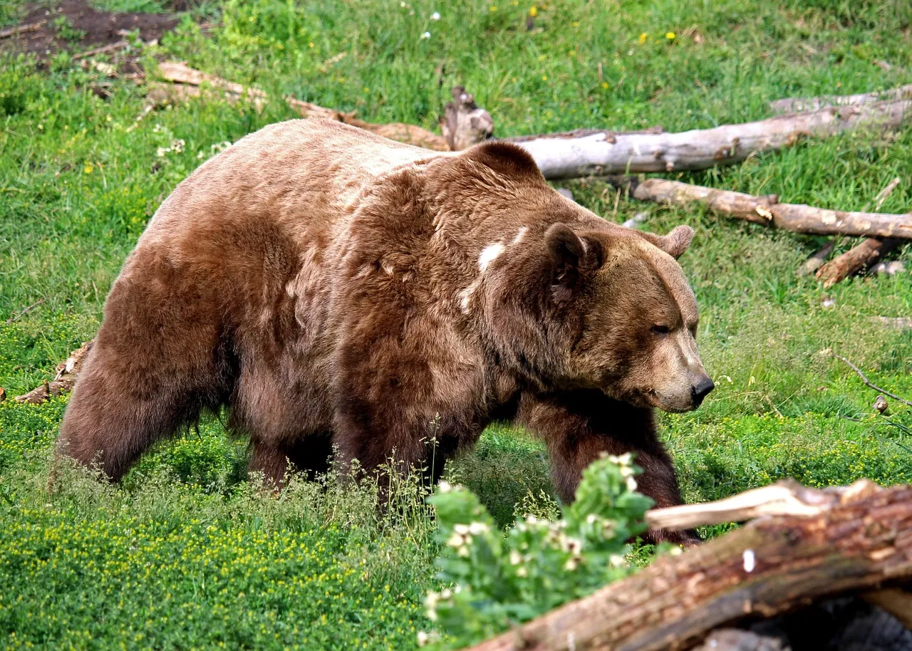 Crans-Montana: quand les regards se croisent, les émotions s'entrechoquent