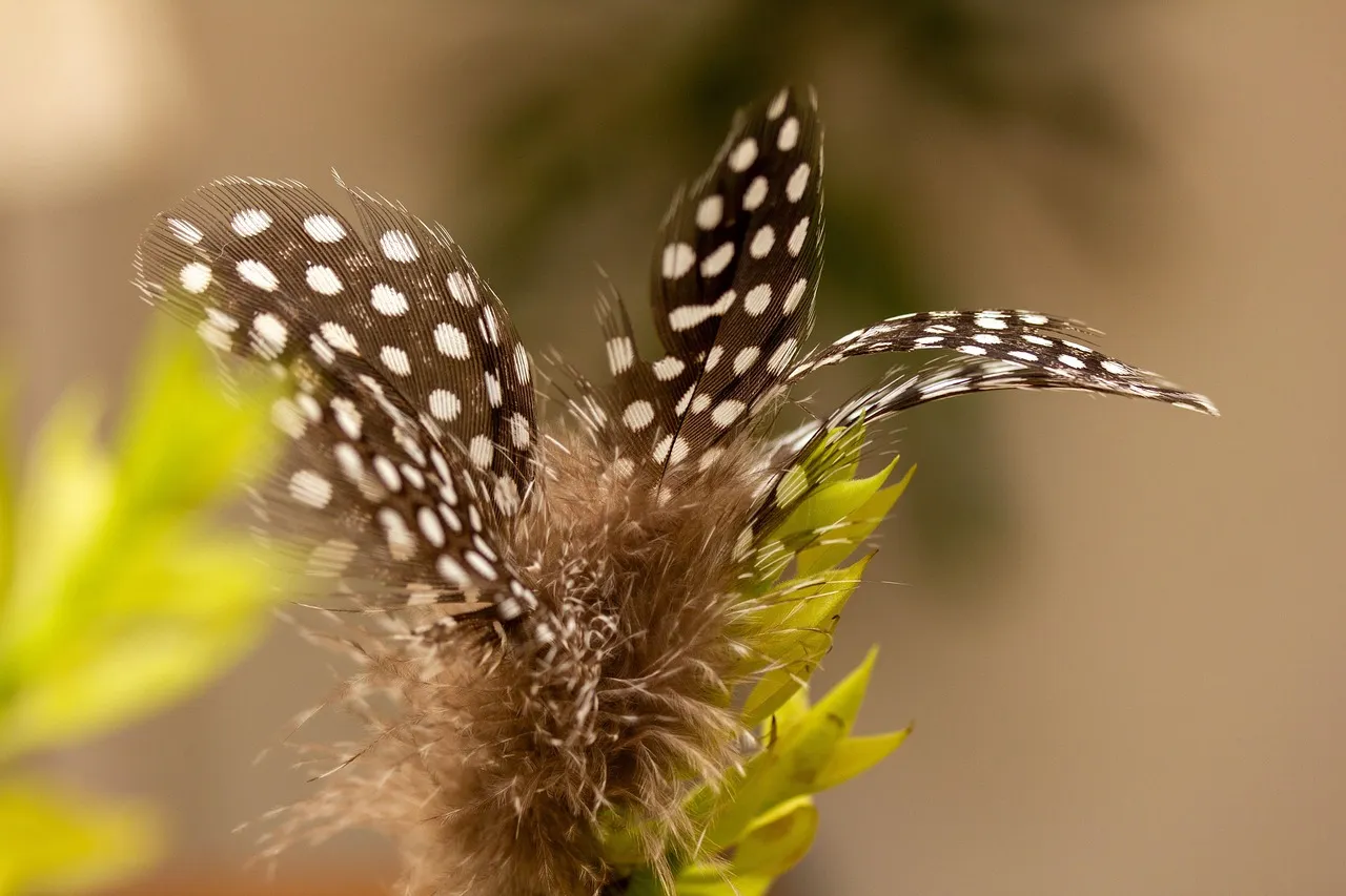 Crise budgétaire aux États-Unis : le Congrès divisé sur le financement de la sécurité intérieure