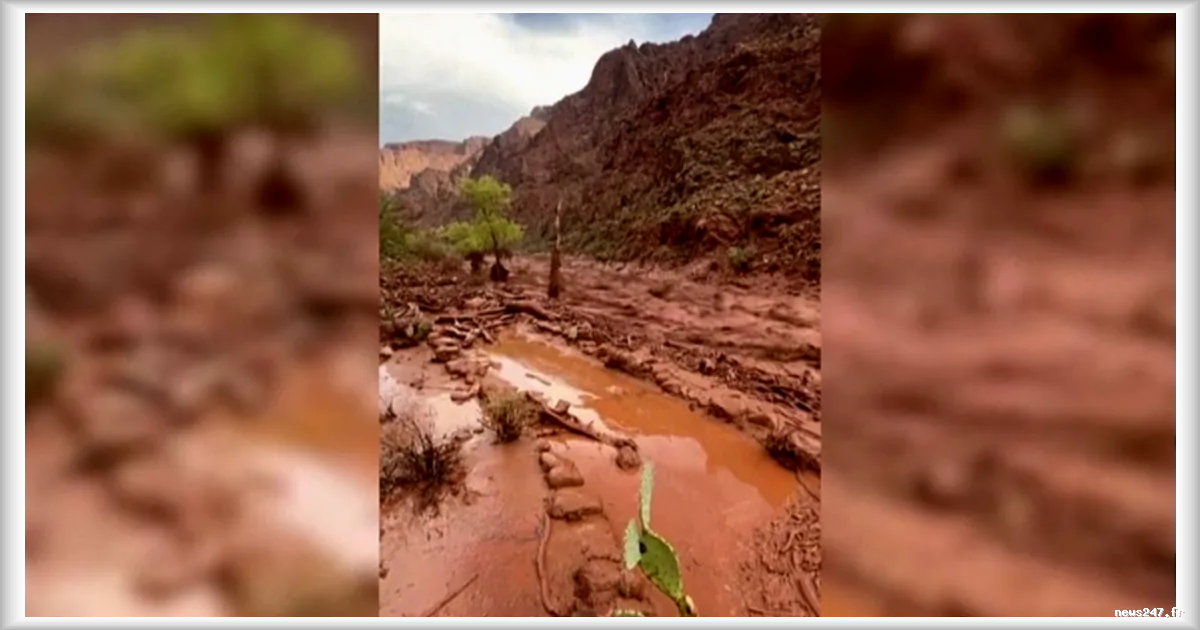 Crue éclair au Grand Canyon : plus de 20 disparus après des inondations dans le secteur de Phantom Ranch