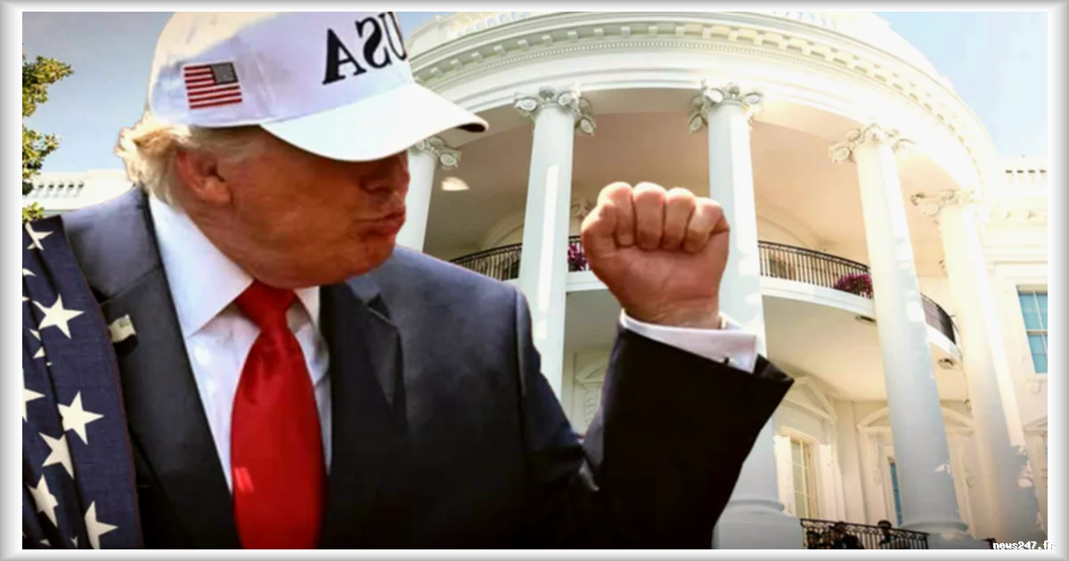 Cryptomonnaies : Donald Trump engrange un gain de 1,4 milliard de dollars tandis que les investisseurs subissent des pertes estimées à 4,7 milliards