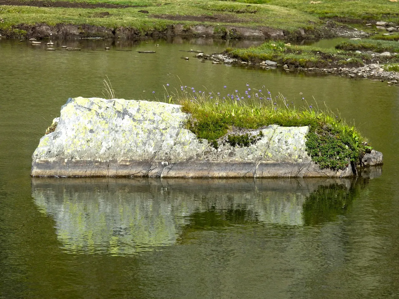 Cupra Tavascan : la Chine, l'Europe et votre porte-monnaie