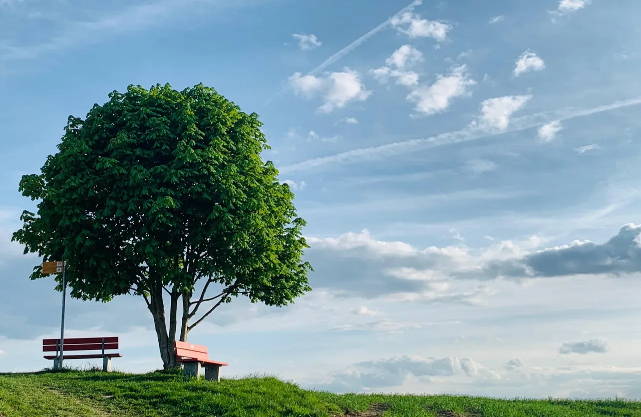 Cyberattaque sur la DGFiP : Plus de 1,2 million de comptes bancaires exposés, comment savoir si vous êtes concernés ?