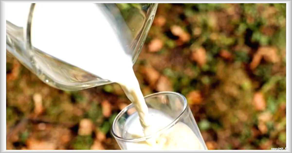 Danone renforce sa présence en Argentine avec la création d'une coentreprise avec Arcor