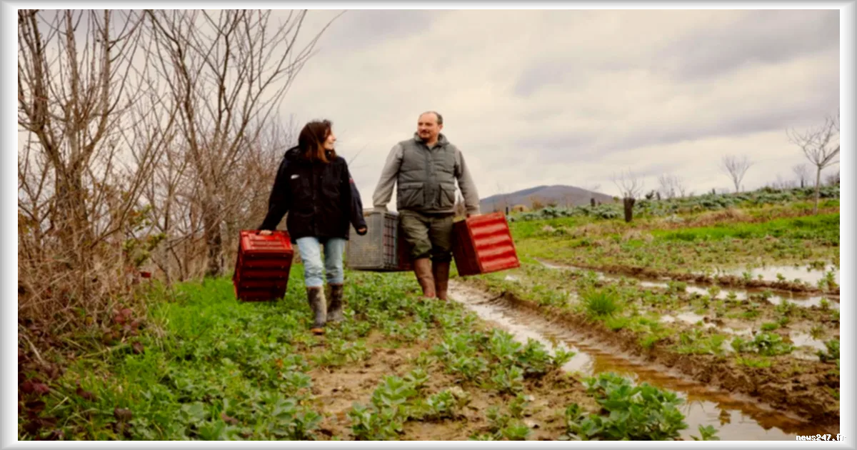 Dans l'Ariège, la difficile réalité financière des agriculteurs : entre 600 et 900 euros par mois
