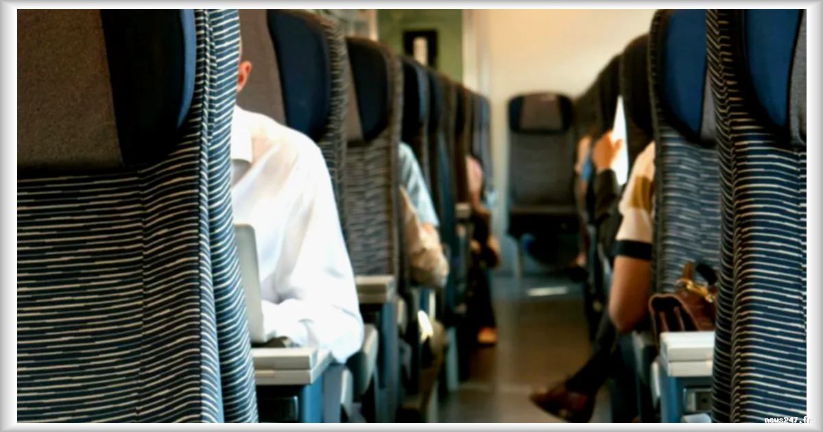 Dans les trains, le bruit et les bagages encombrants irritent toujours plus les voyageurs