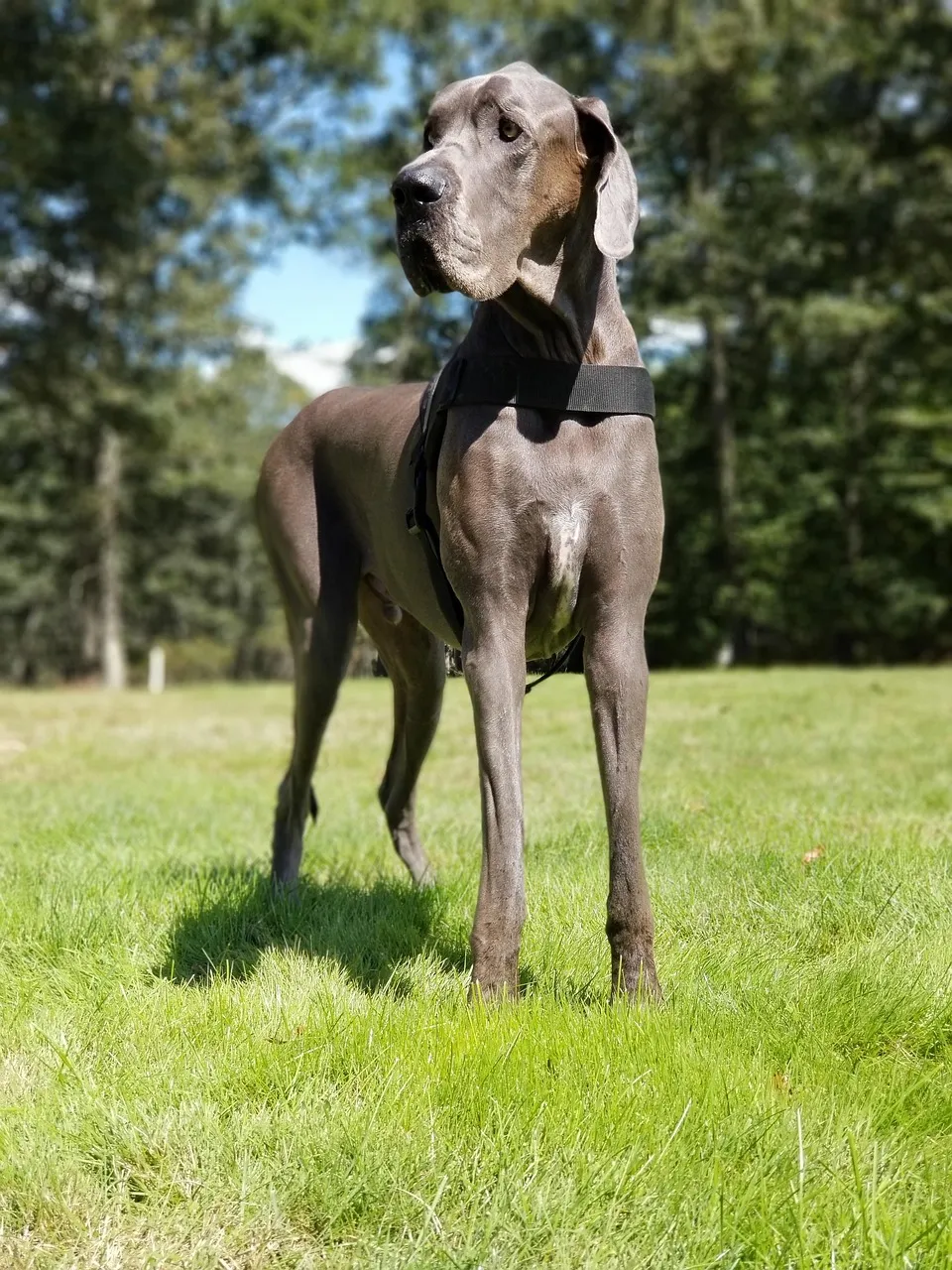 Décès de l'acteur Eric Dane, connu pour son rôle dans Grey's Anatomy, à l'âge de 53 ans