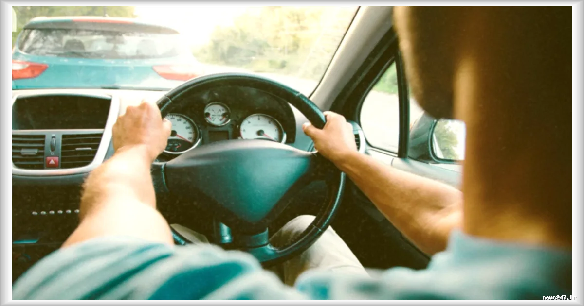 Déclin des insectes : en France, le Muséum national d’Histoire naturelle lance une application citoyenne pour mesurer leur disparition