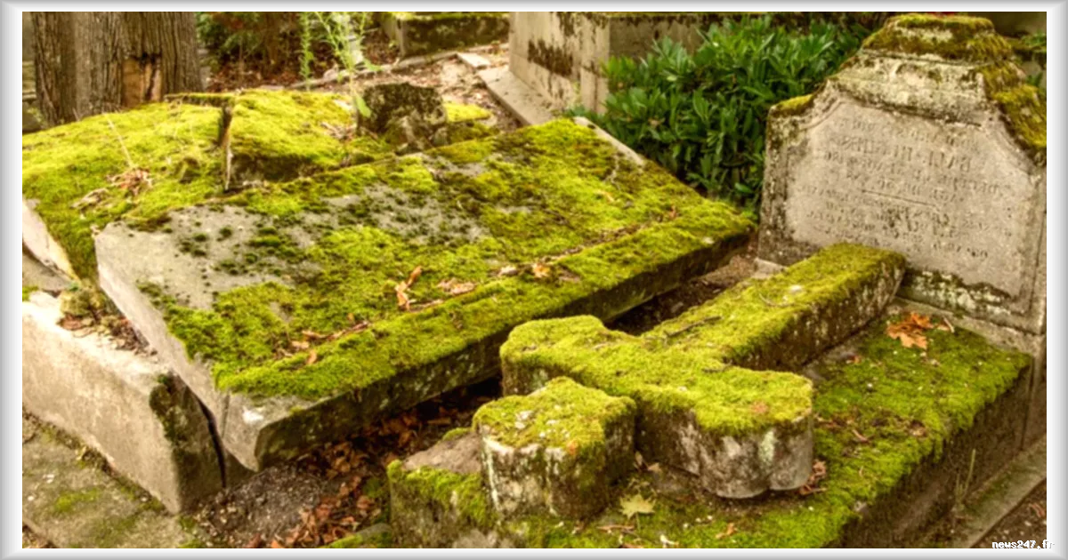 Découverte de corps à Trinité-et-Tobago : pas de victime d'homicide parmi les 56 dépouilles