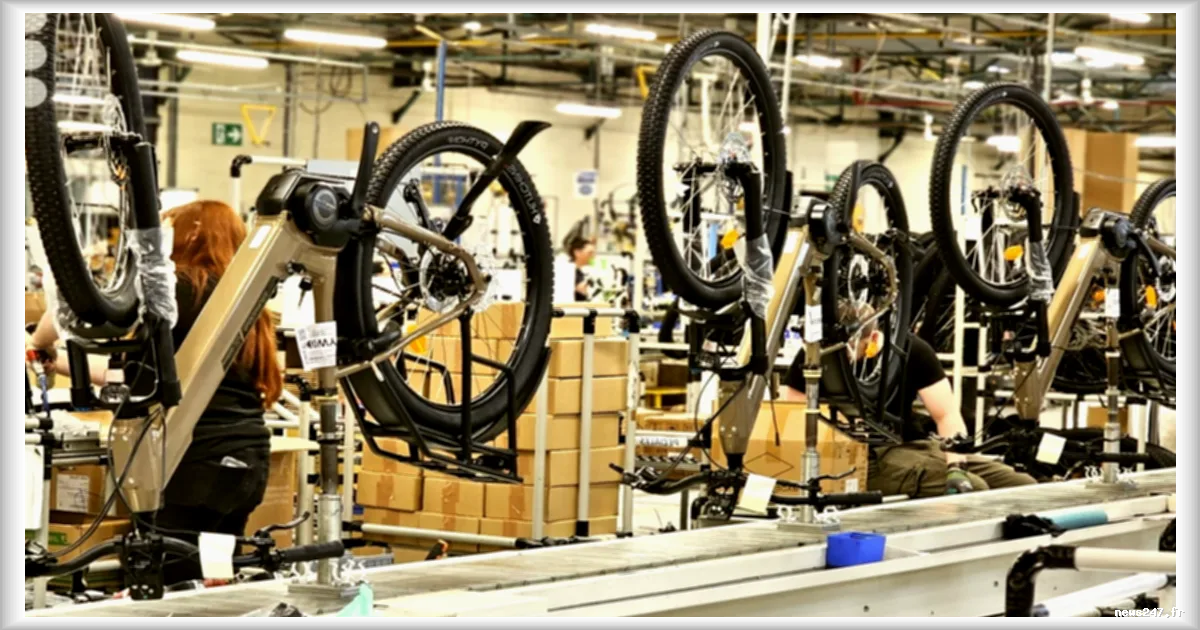 Découverte de la MFC Intersport à Machecoul, la plus grande usine de vélos de France