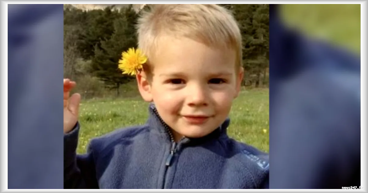 Découverte de puces de volaille et d'excréments de chauve-souris sur les restes du petit Émile : ce que révèlent les nouvelles traces