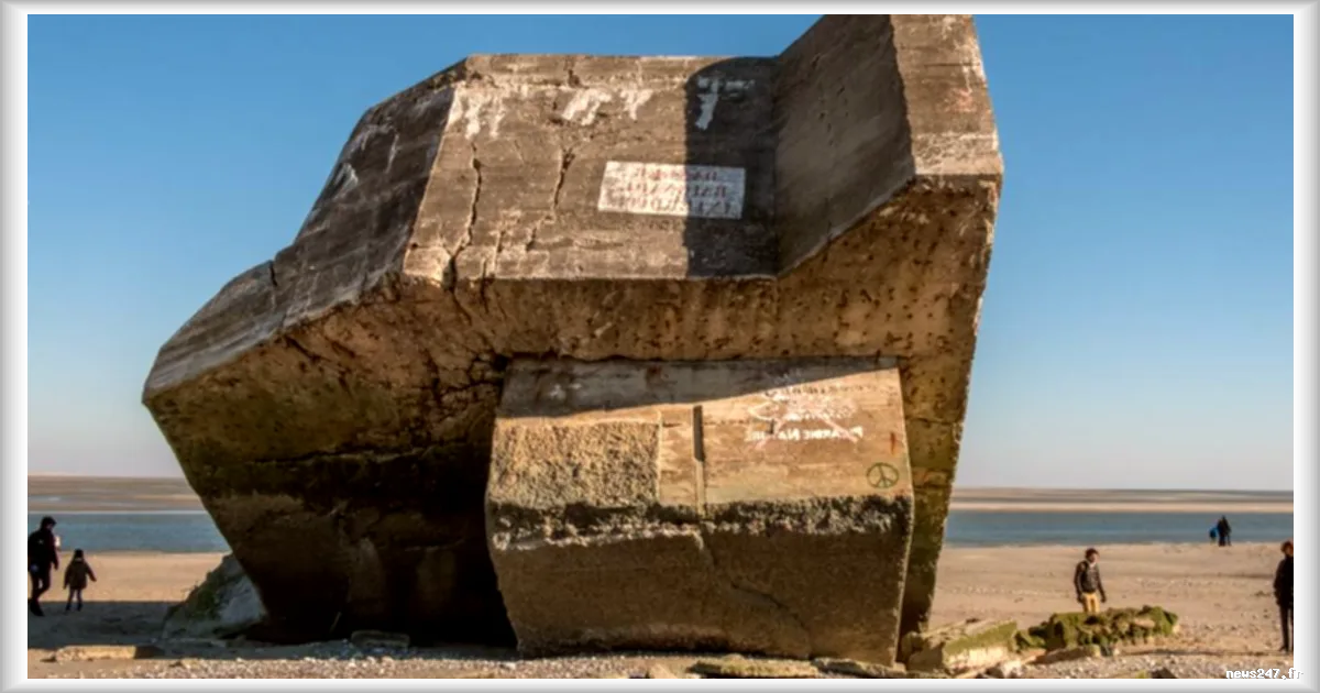 Découverte d'un blockhaus de la Seconde Guerre mondiale sur la plage de Cayeux-sur-Mer