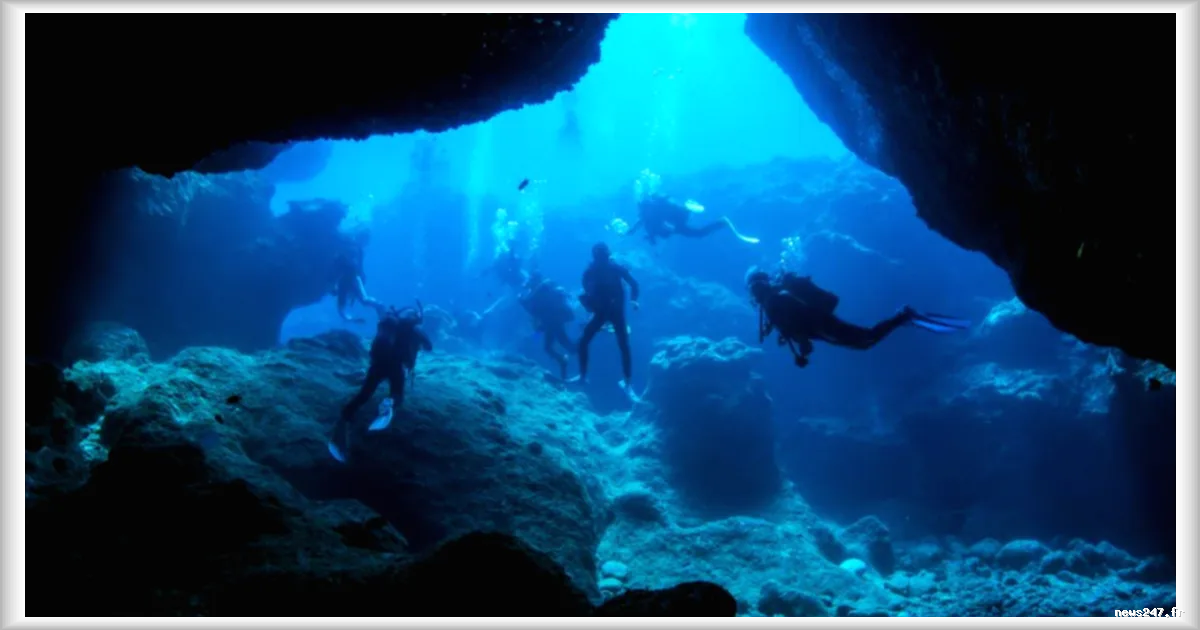 Découverte d’un nouvel octopode bleu à 1 773 mètres de profondeur dans les îles Galápagos