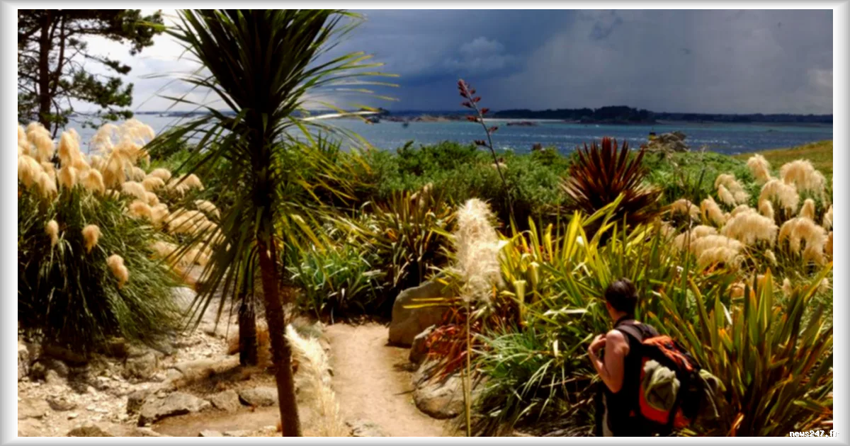Découverte d'une oasis tropicale à Roscoff, dans le Finistère