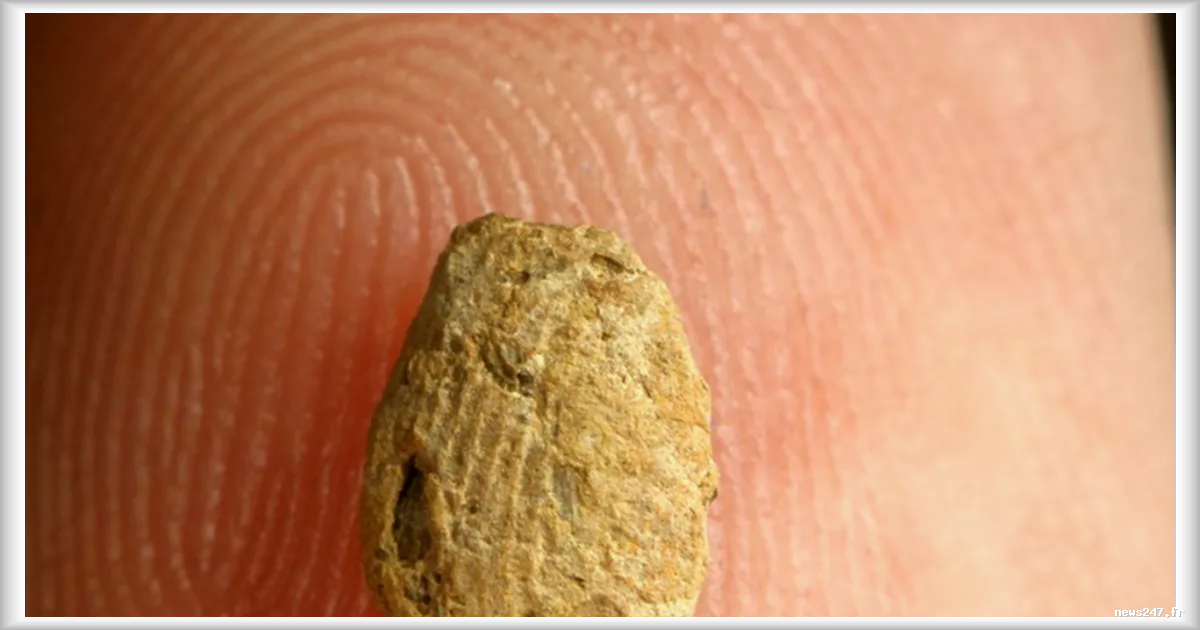 Découverte d'une perle d'argile de 12 000 ans avec des empreintes digitales d'un enfant